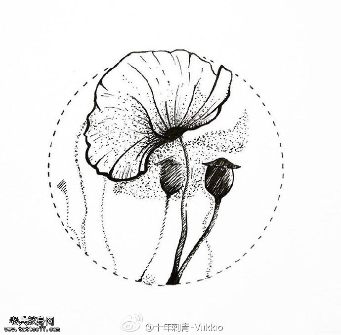 手稿点刺罂粟花纹身图案