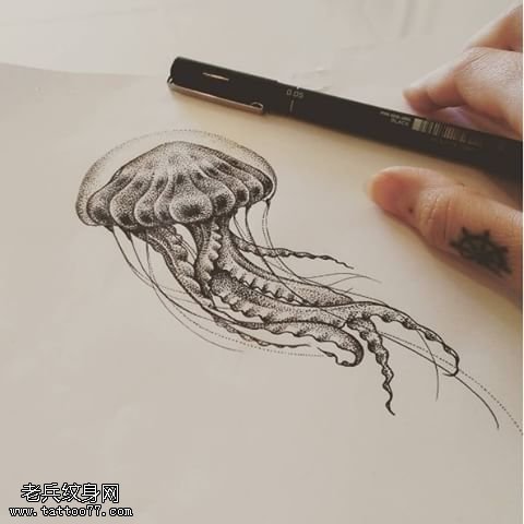 经典手稿水母纹身图案