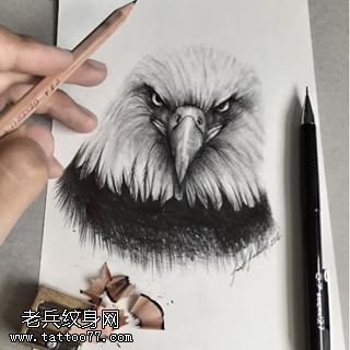 手稿写实的鹰头纹身图案