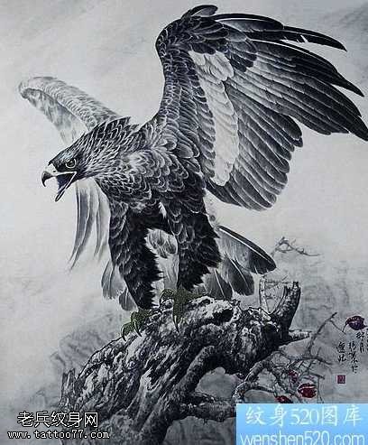 一组老鹰纹身图案