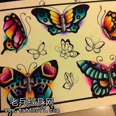 手稿精美的蝴蝶纹身图案