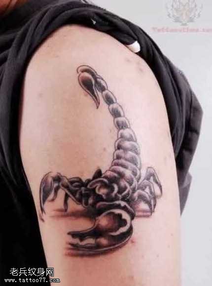 手臂帅气的蝎子纹身图案