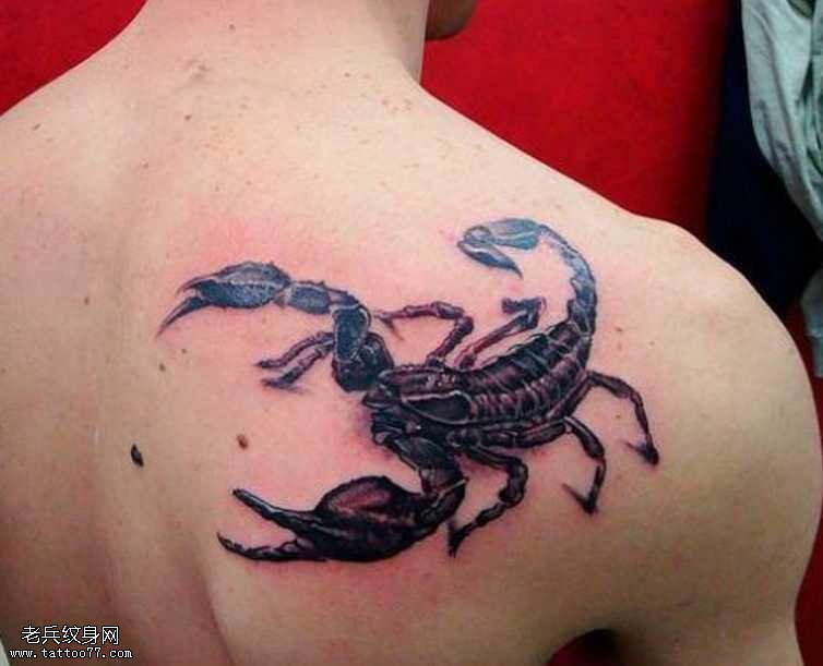 背部蝎子纹身图案