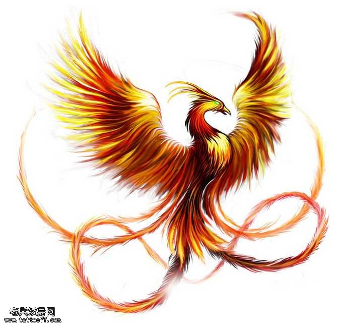 手稿百鸟之首凤凰纹身图案