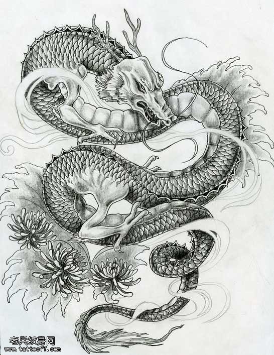 手稿超级大气的龙纹身图案