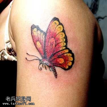 胳膊彩蝴蝶纹身图案