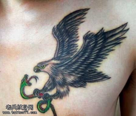 胸部鹰吃蛇纹身图案