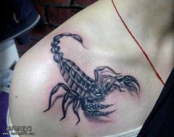 肩部蝎子纹身图案