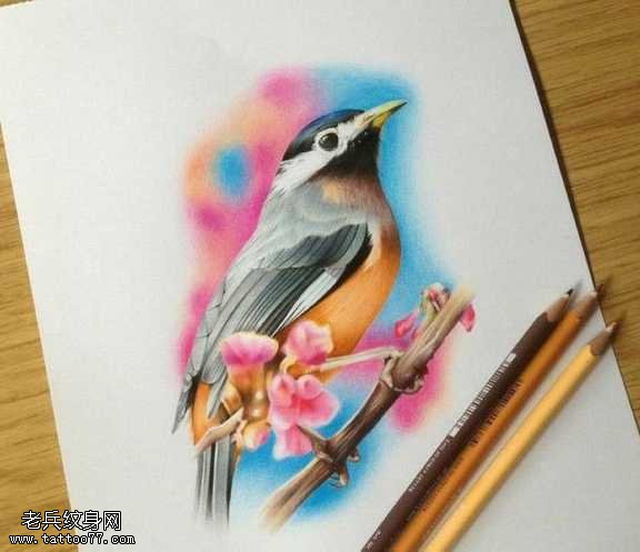 手稿彩鸽子纹身图案