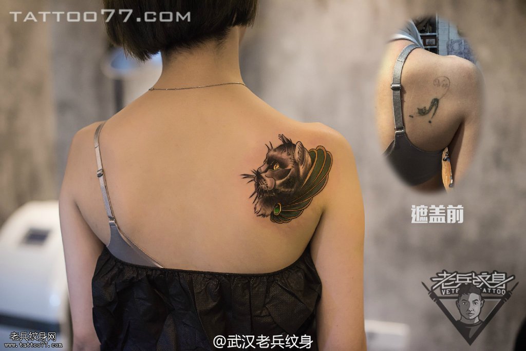 后背猫咪纹身图案作品遮盖旧纹身