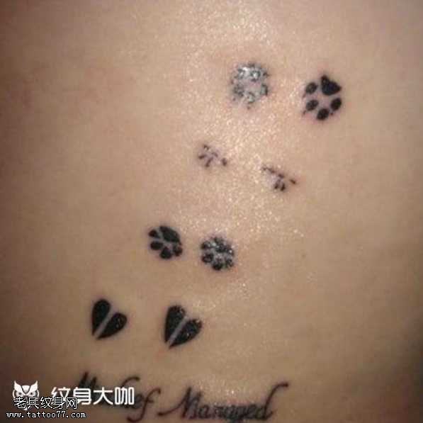 动物印纹身图案