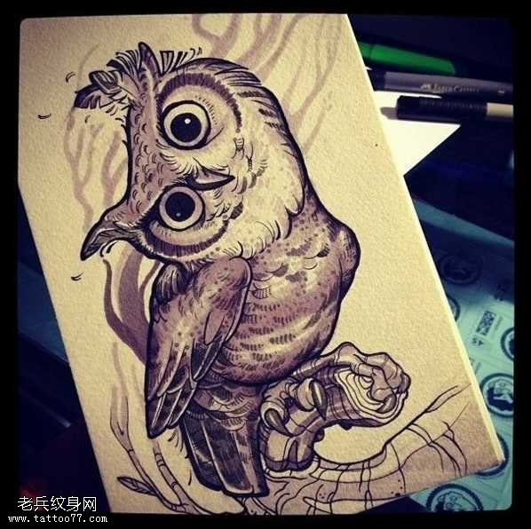 手稿猫头鹰纹身图案