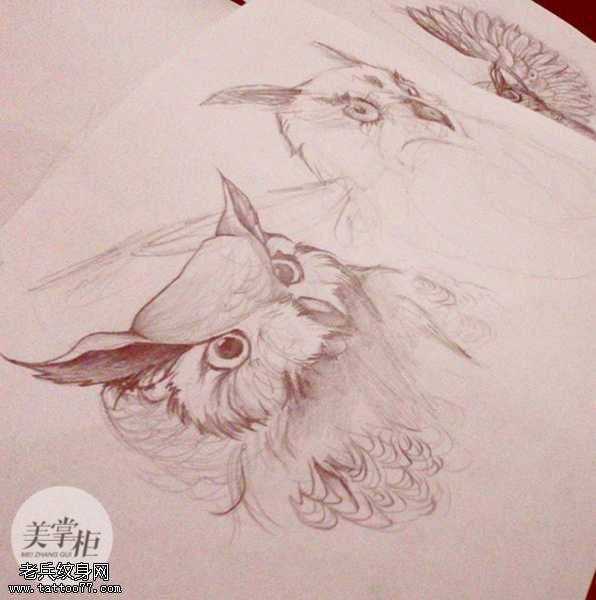手稿猫头鹰纹身图案