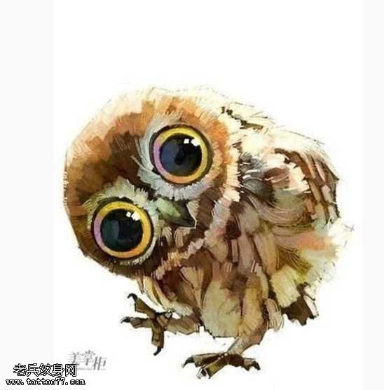 手稿萌猫头鹰纹身图案