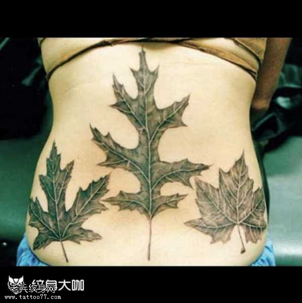 腰部叶子纹身图案