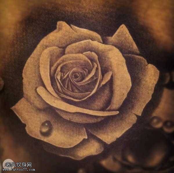 玫瑰纹身图案