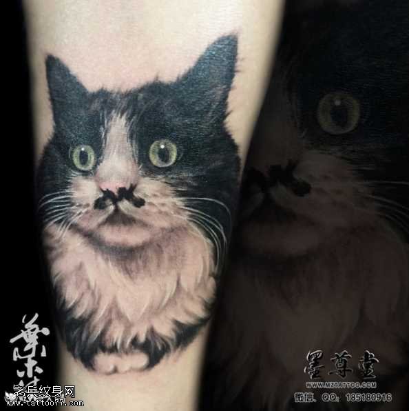 手臂家猫纹身图案