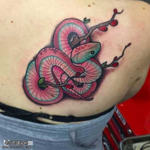 梅蛇纹身图案
