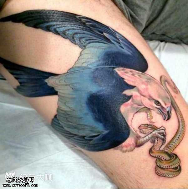 鹰战蛇纹身图案
