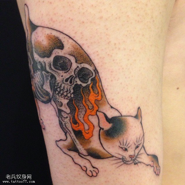 大臂骷髅纹身猫纹身图案