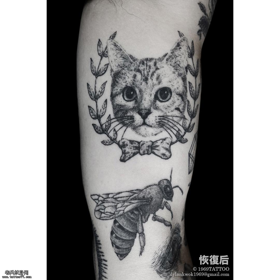 大臂猫纹身图案