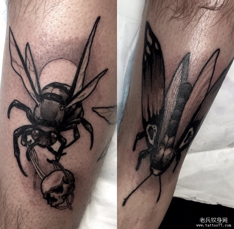 小腿 苍蝇骷髅纹身图案