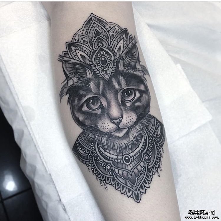 小腿猫tattoo图案