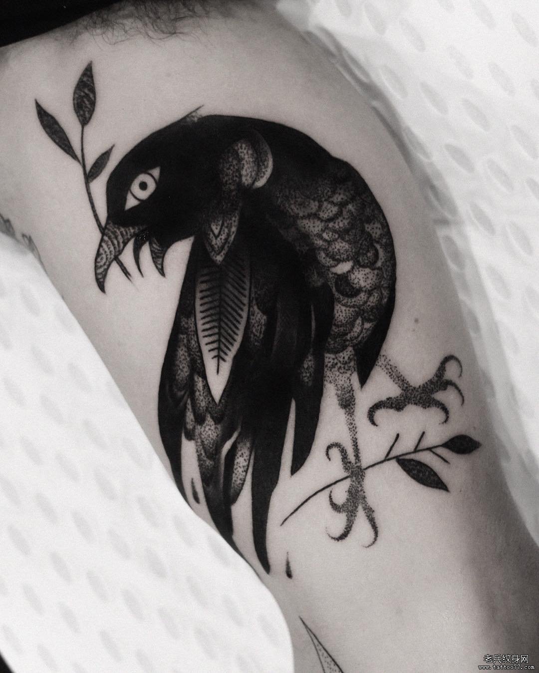 小腿乌鸦点刺纹身tattoo