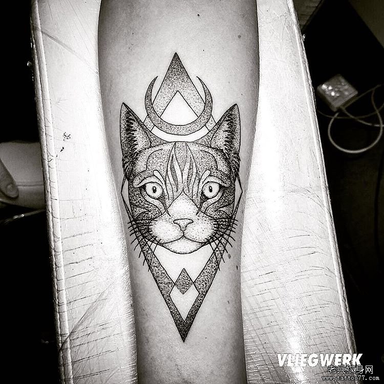 小臂点刺猫纹身图案