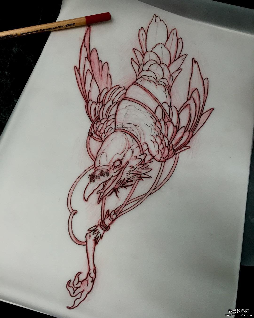 传统乌鸦纹身图案手稿