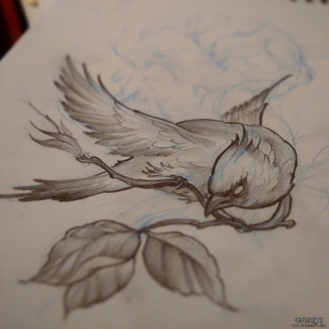 school鸟纹身图案手稿