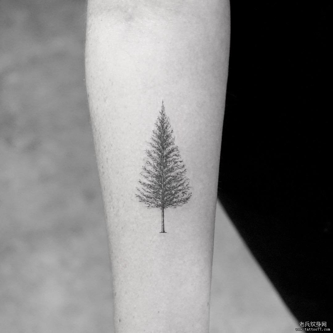 小臂树纹身tattoo图案