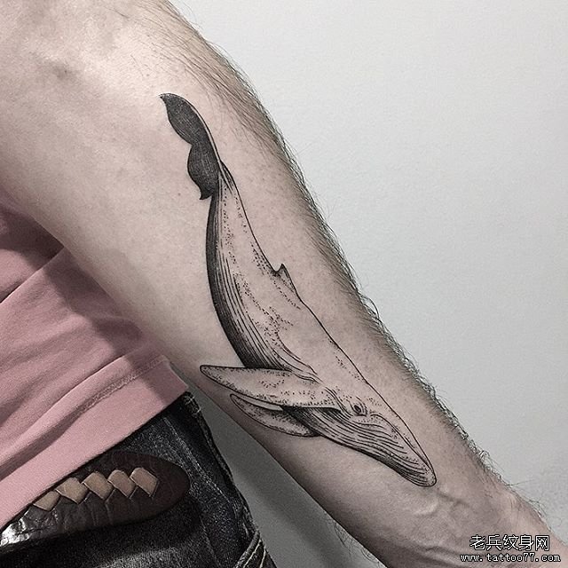 小臂鲸鱼纹身tattoo图案