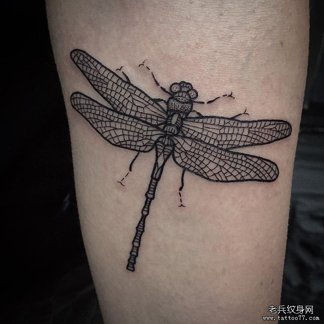 小臂蜻蜓tattoo纹身图案