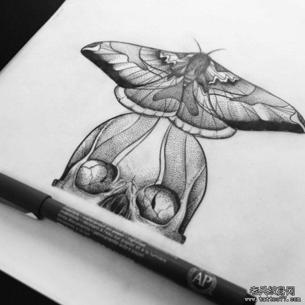 欧美school飞蛾点刺纹身图案手稿