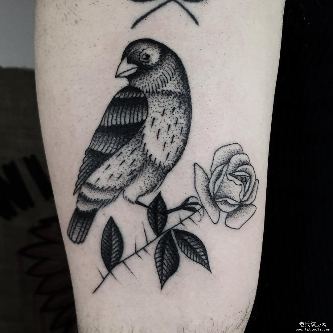 school点刺鸟纹身tattoo图案
