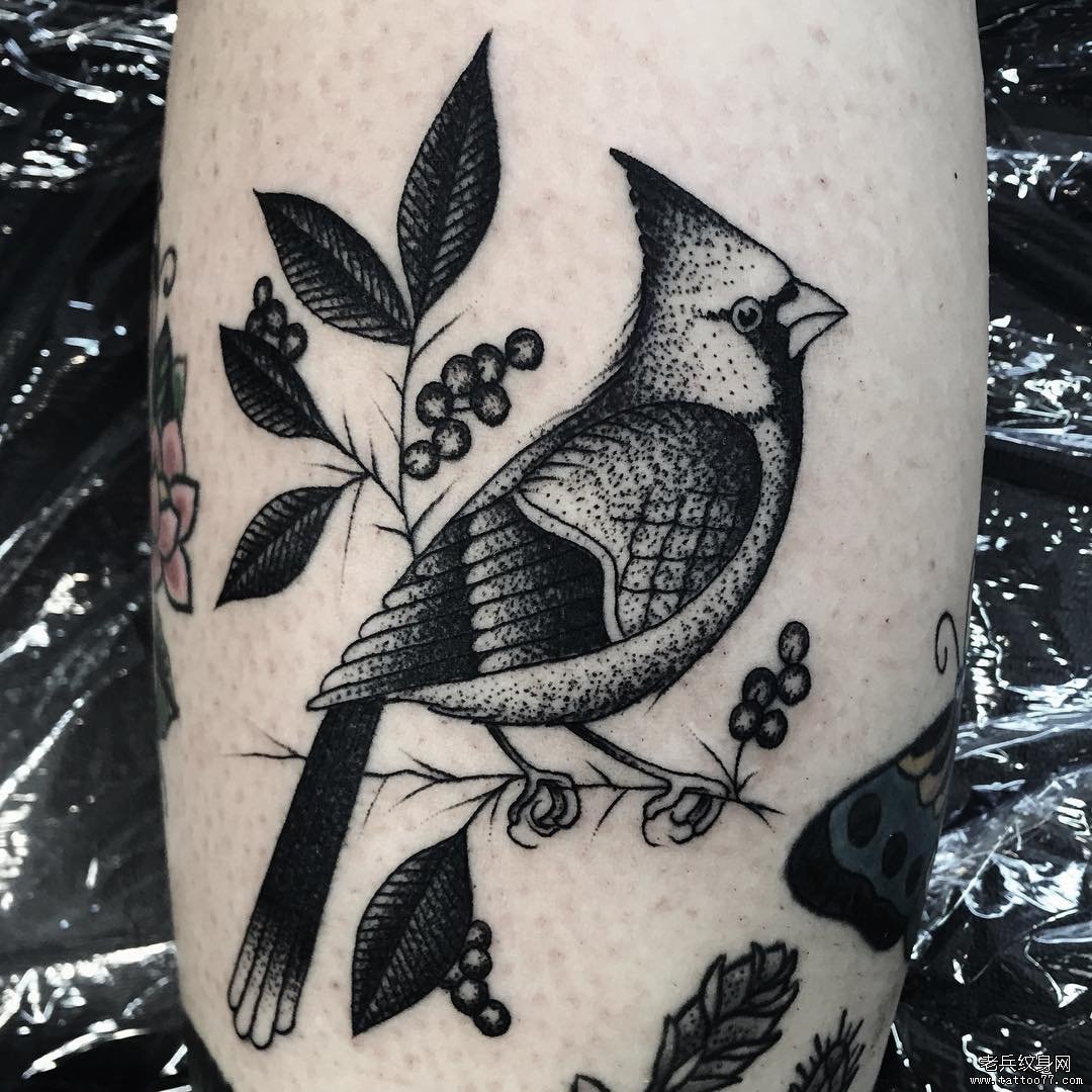 小臂小清新鸟tattoo纹身图案