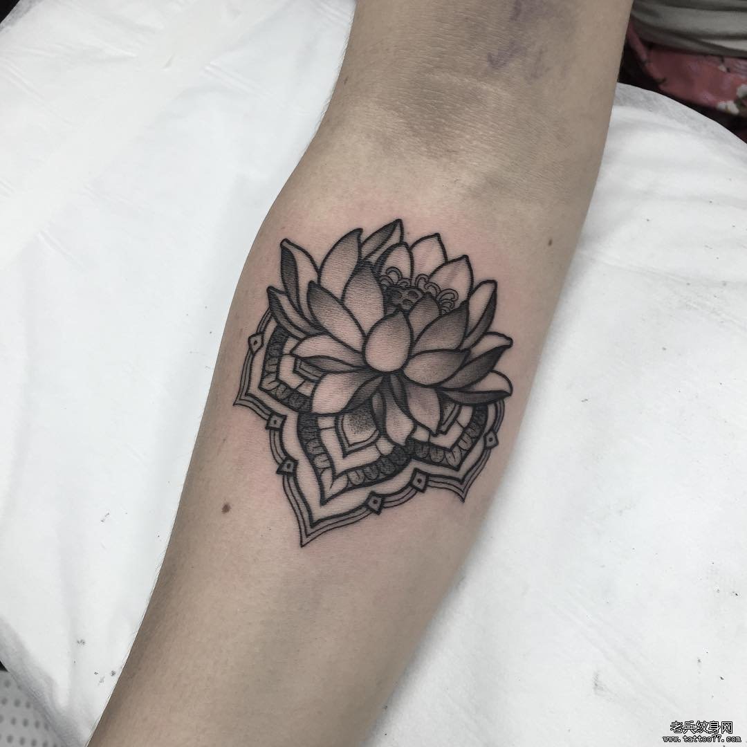 小臂黑灰莲花纹身tattoo图案