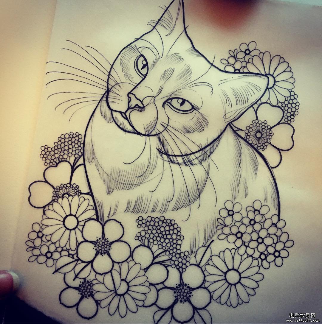 new school猫小清新花纹身图案手稿