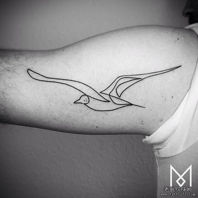 大臂极简线条海鸥纹身tattoo图案