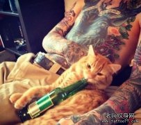 一只猫纹身的象征意义取决于文化纹身所有者