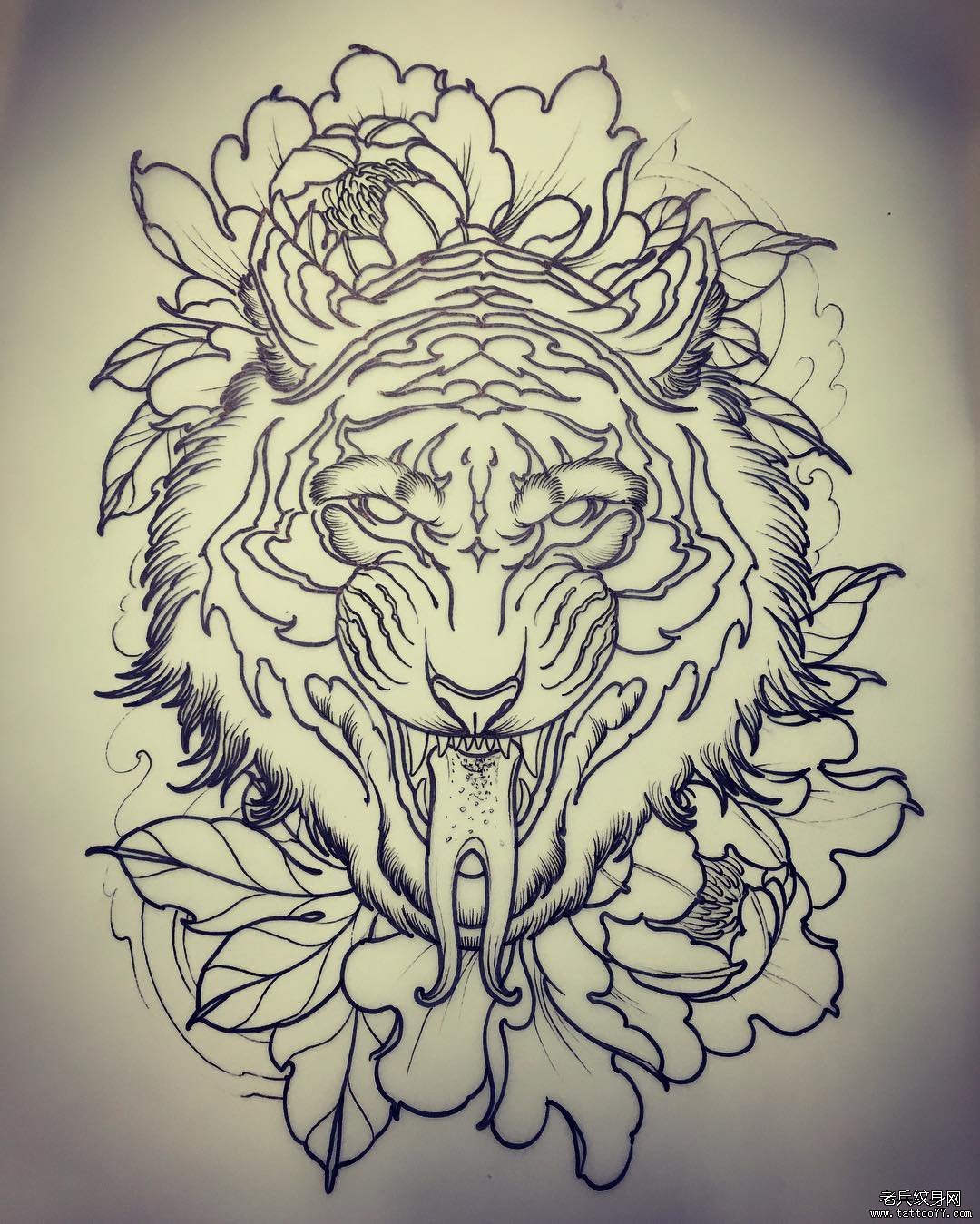 欧美school老虎菊花纹身图案手稿