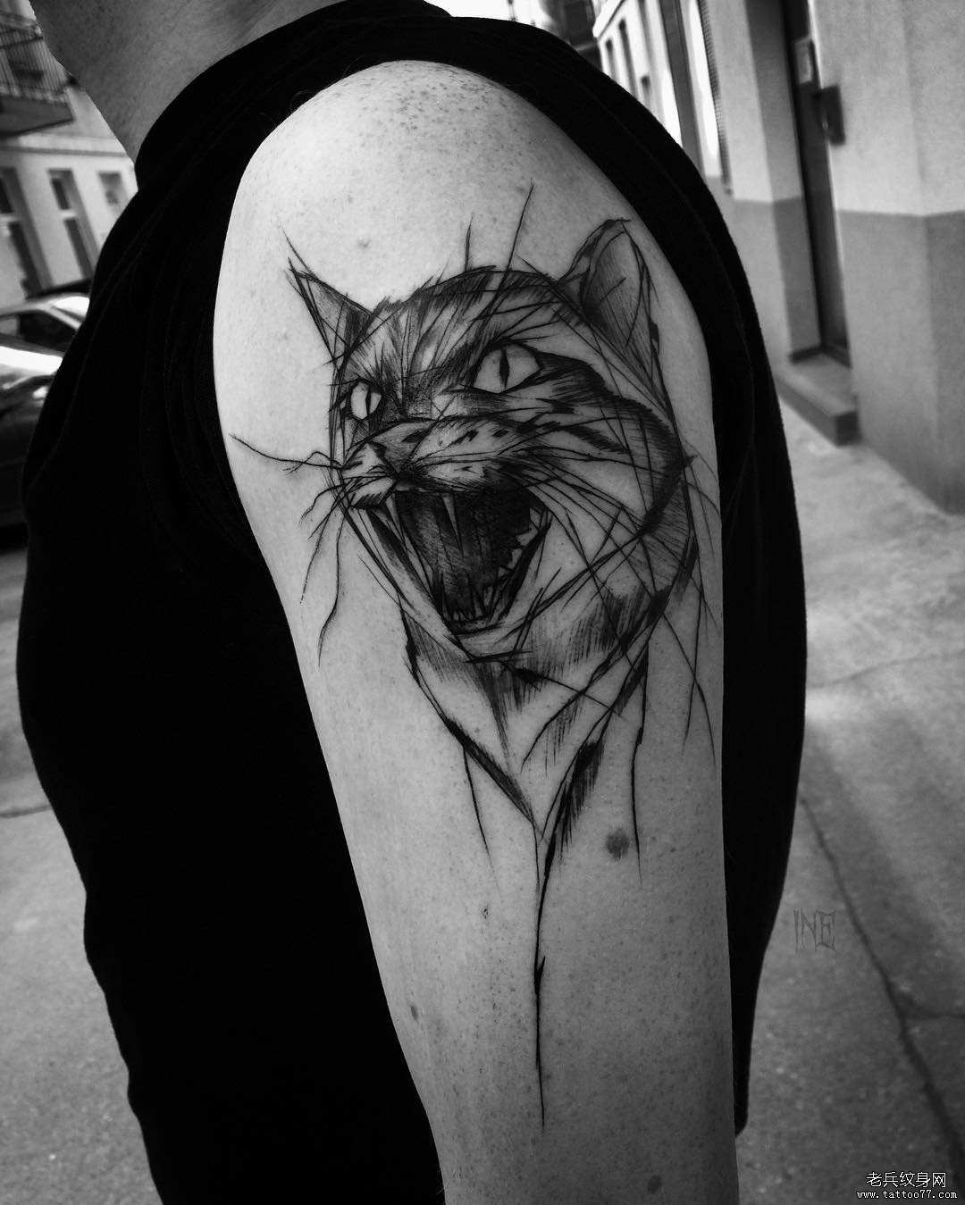 大臂钢笔画风格猫纹身图案