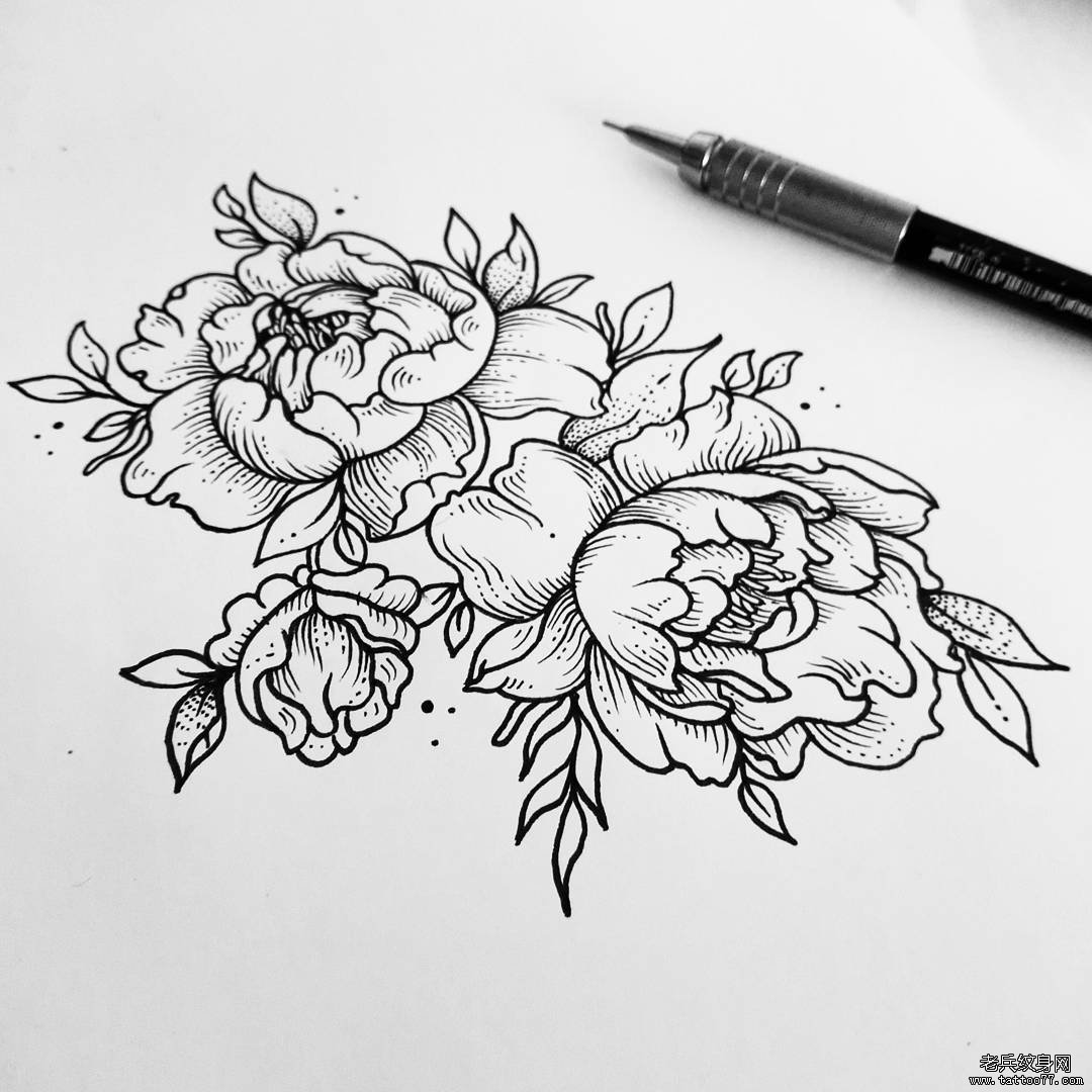 欧美花卉线条纹身手稿