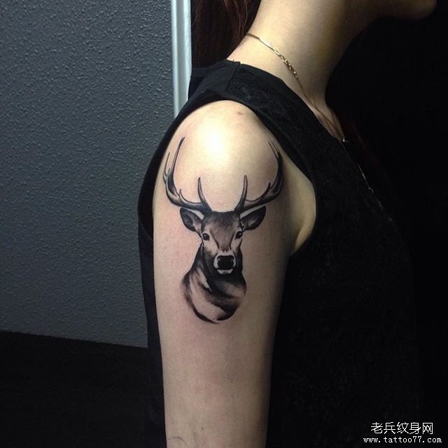 大臂麋鹿tattoo纹身图案