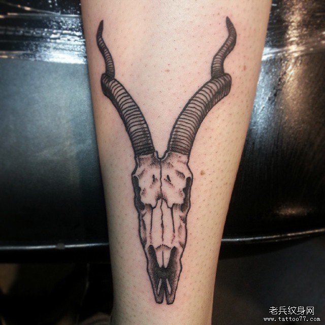小臂羊头骷髅纹身tattoo图案