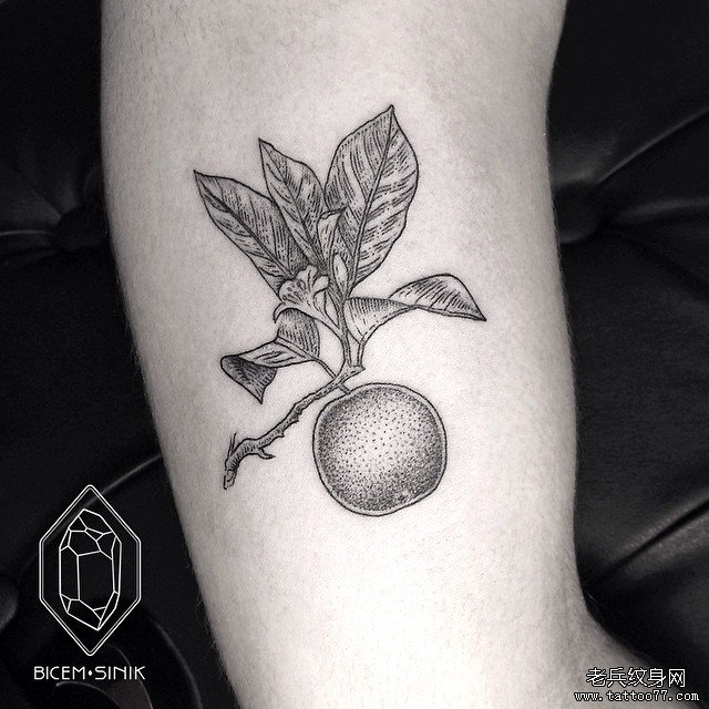 小臂点刺果实tattoo纹身图案