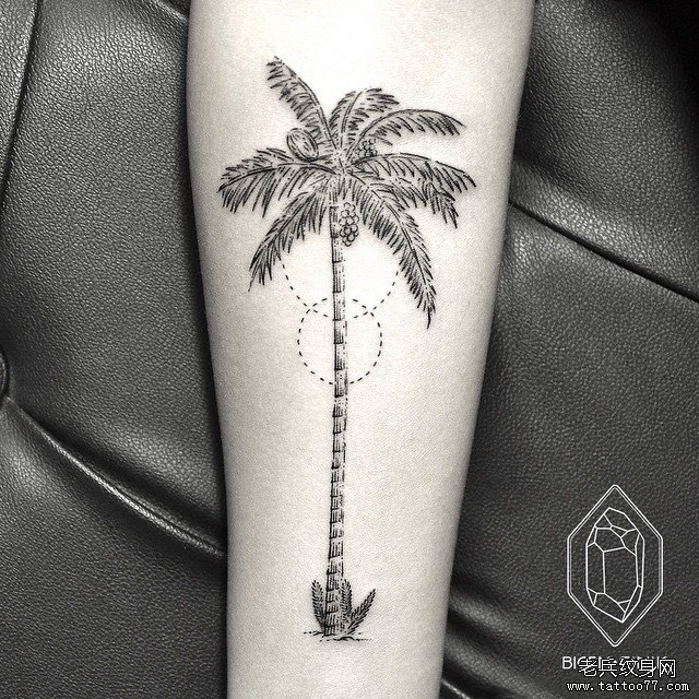 小臂点刺椰树tattoo纹身图案