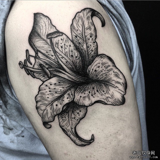 大臂欧美花卉tattoo纹身图案