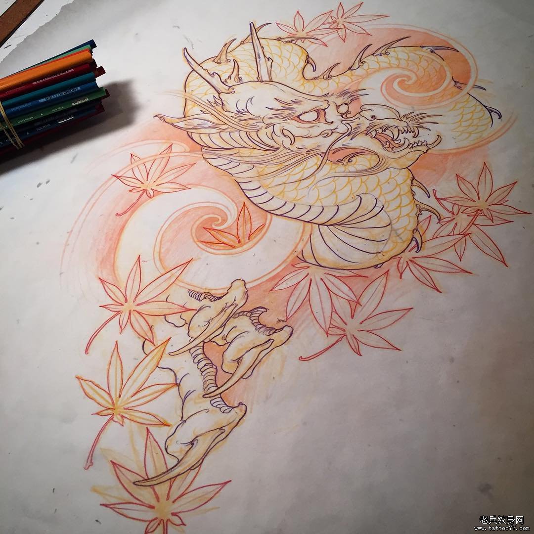 龙枫叶传统纹身图案手稿
